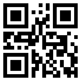 Il Qr Code di 3919182666