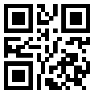 Il Qr Code di 3919182685