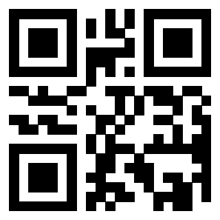 Il Qr Code di 3919182694