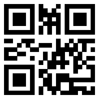Il Qr Code di 3919182702