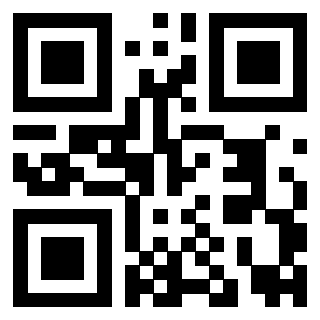 Il Qr Code di 3919182704