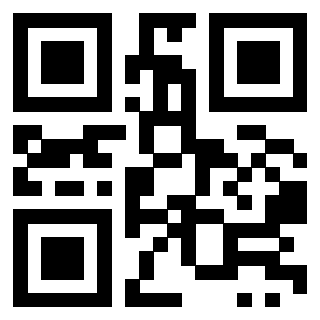 Il Qr Code di 3919182707