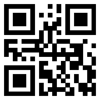 Il Qr Code di 3919182716