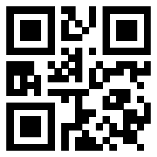 Il Qr Code di 3919182756