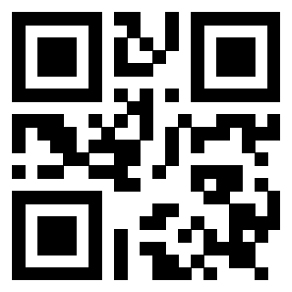 Il Qr Code di 3919182782