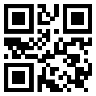 Il Qr Code di 3919182792