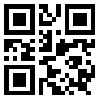 Il Qr Code di 3919182802