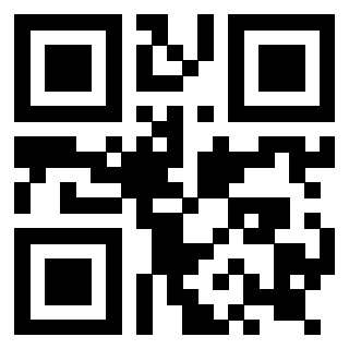 Il Qr Code di 3919182810