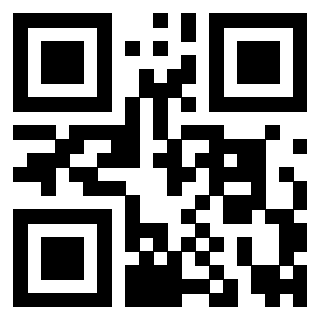 Il Qr Code di 3919182864