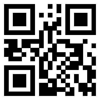 Il Qr Code di 3919182880