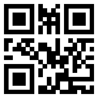 Il Qr Code di 3919182883