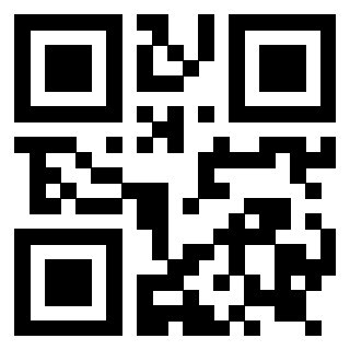 Il Qr Code di 3919182885
