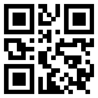 Il Qr Code di 3919182892