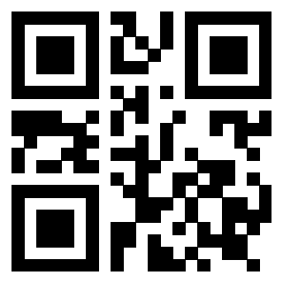 3919182919 QrCode associato