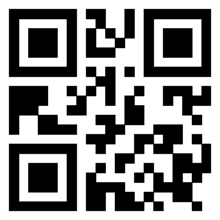 Il Qr Code di 3919182938