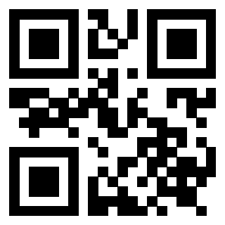Il Qr Code di 3919221999