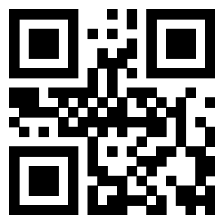 Il Qr Code di 3919222045