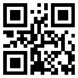 3919222058 QrCode associato
