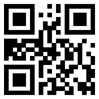 Il Qr Code di 3919222067
