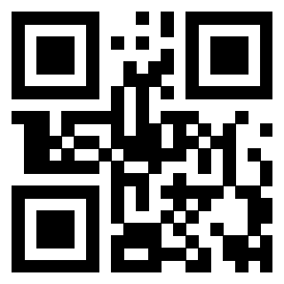 Il Qr Code di 3919222092