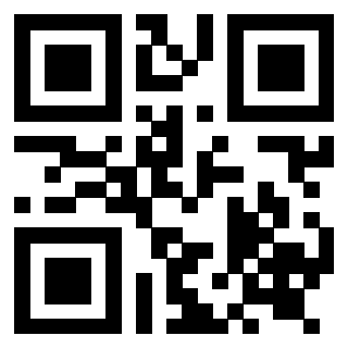 Il Qr Code di 3919222347