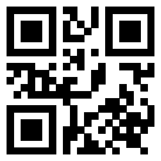 Il Qr Code di 3919222464