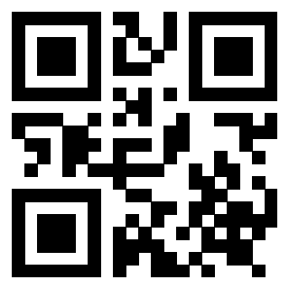 Il Qr Code di 3919222473