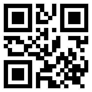Il Qr Code di 3919222478