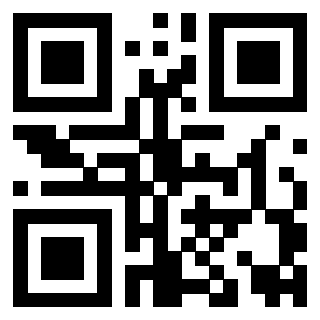 Il Qr Code di 3919222492