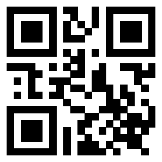 Il Qr Code di 3919222494