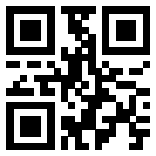 Il Qr Code di 3919222591