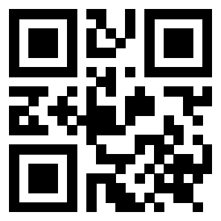 Il Qr Code di 3919222598