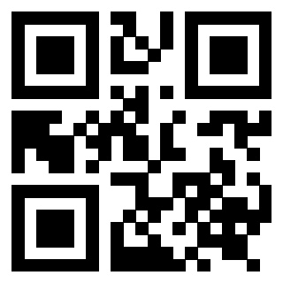 Il Qr Code di 3919222629