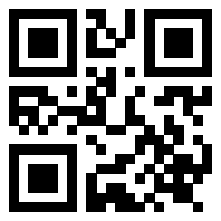 Il Qr Code di 3919222638