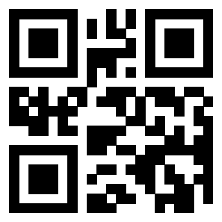 Il Qr Code di 3919222665