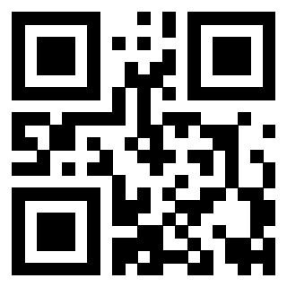 Il Qr Code di 3919222695