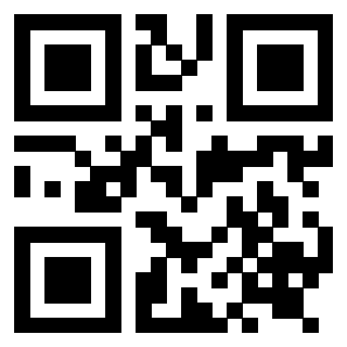 Il Qr Code di 3919222830