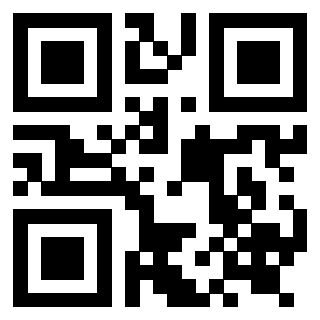 Il QrCode di 3919222856
