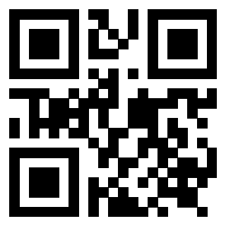 Il Qr Code di 3919222858