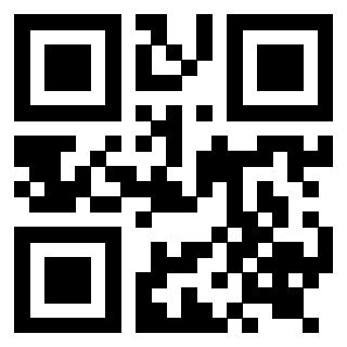 Il Qr Code di 3919222871