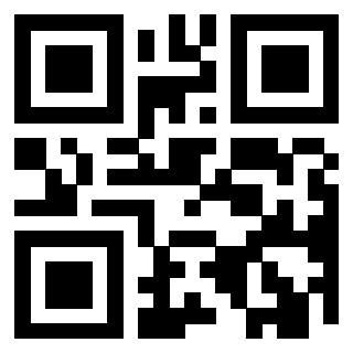 Il Qr Code di 3919222881