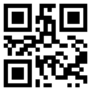 Il Qr Code di 3919222882