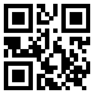 Il Qr Code di 3919222987