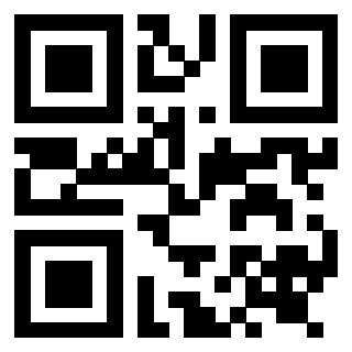 Il Qr Code di 3919232833