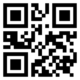 Il Qr Code di 3919232869