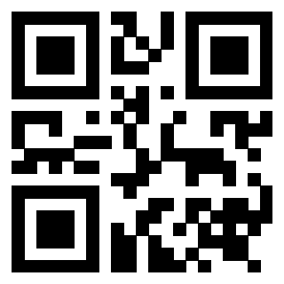 Il Qr Code di 3919232903