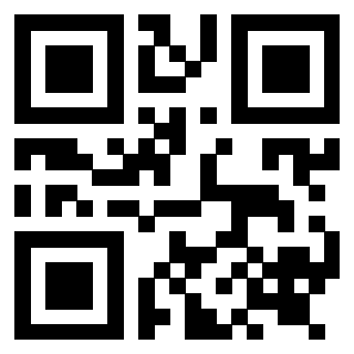 Il Qr Code di 3919232904