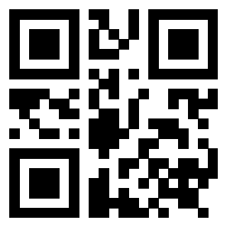 Scansione del Qr Code di 3919232919