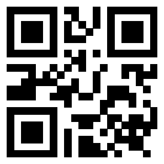Il Qr Code di 3919232929