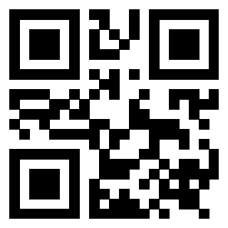 Il Qr Code di 3919232984